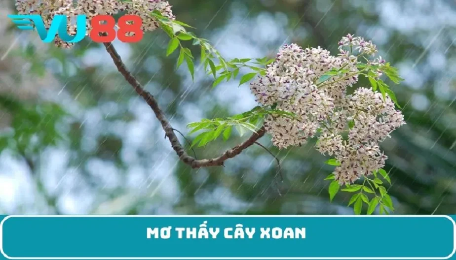 VU88 Mơ Thấy Cây Xoan - Điềm Báo Bí Ẩn Và Dự Đoán Tương Lai
