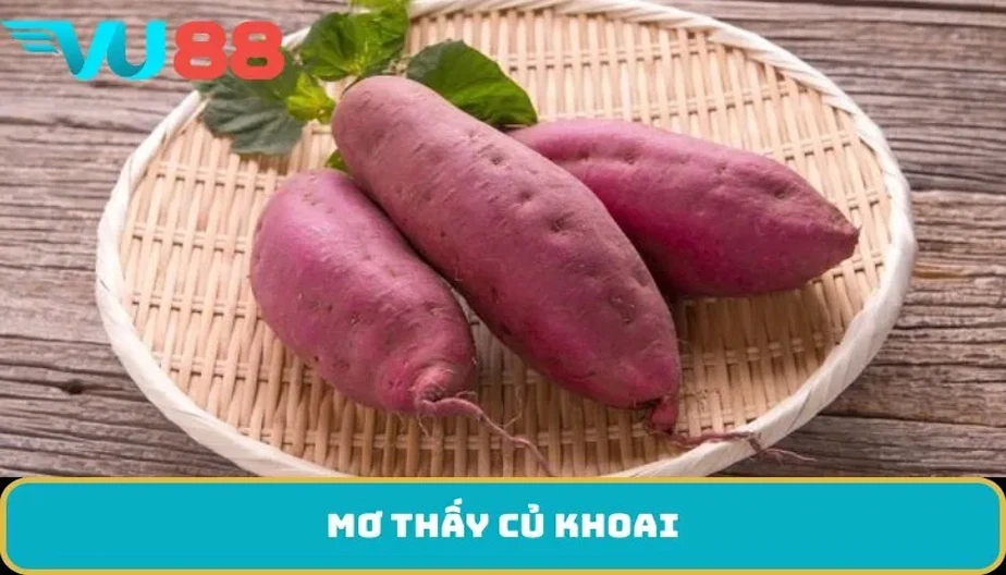 VU88 Giải Mã Mơ Thấy Củ Khoai – Điềm Báo Và Con Số May Mắn