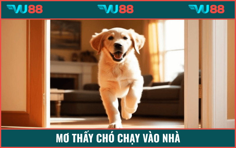 VU88 Mơ Thấy Con Chó - Giải Mã Thông Điệp Và Số Chuẩn Cùng Vu88