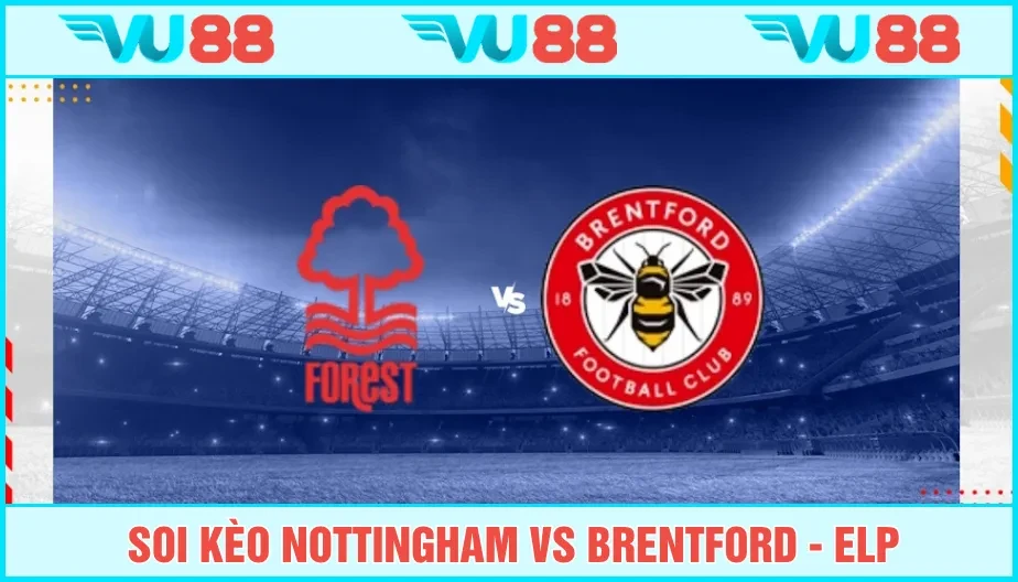 VU88 Soi Kèo Nottingham Vs Brentford Hồi 20h00 Ngày 17/8 - EPL
