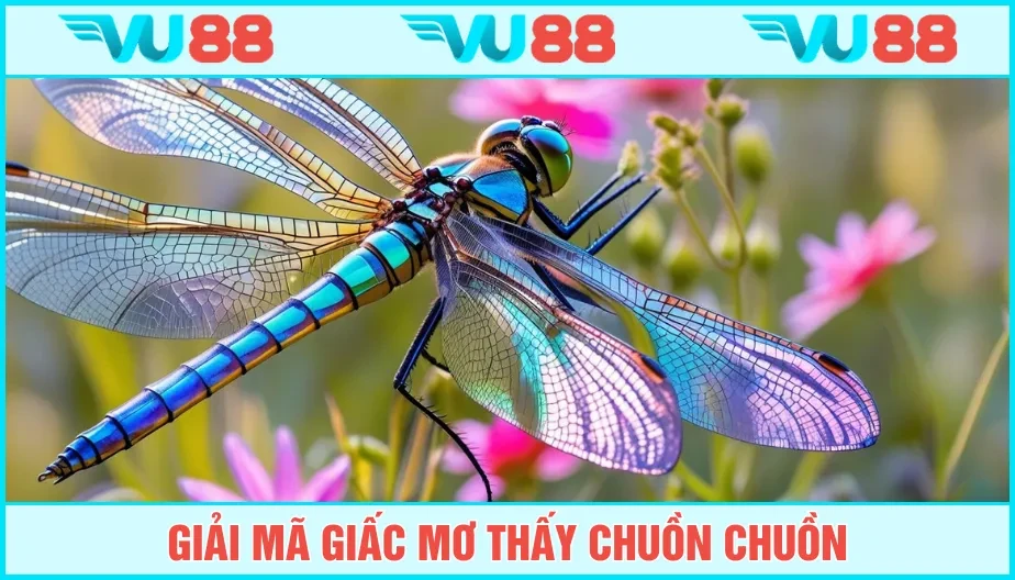 VU88 Mơ Thấy Chuồn Chuồn Ẩn Ý Điều Gì? Giải Mộng Đầy Đủ Cùng VU88
