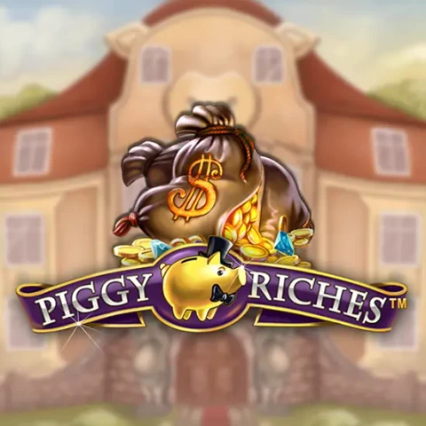 VU88 Piggy Riches™