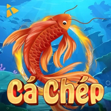 VU88 Cá Chép Hóa Rồng