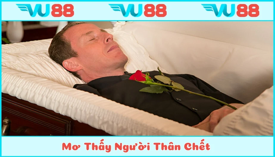 VU88 Mơ Thấy Người Thân Chết - Thông Điệp Và Số Đẹp Cùng Vu88